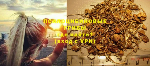 индика Майский