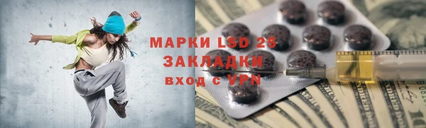 индика Майский