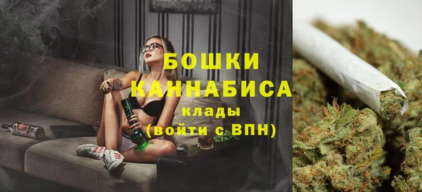 индика Майский