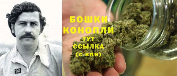 индика Майский